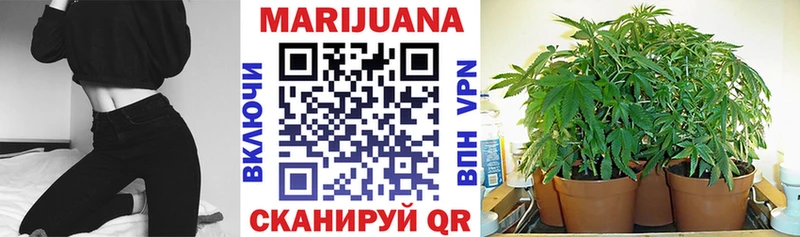 купить  сайты  Южно-Сухокумск  Канабис семена 